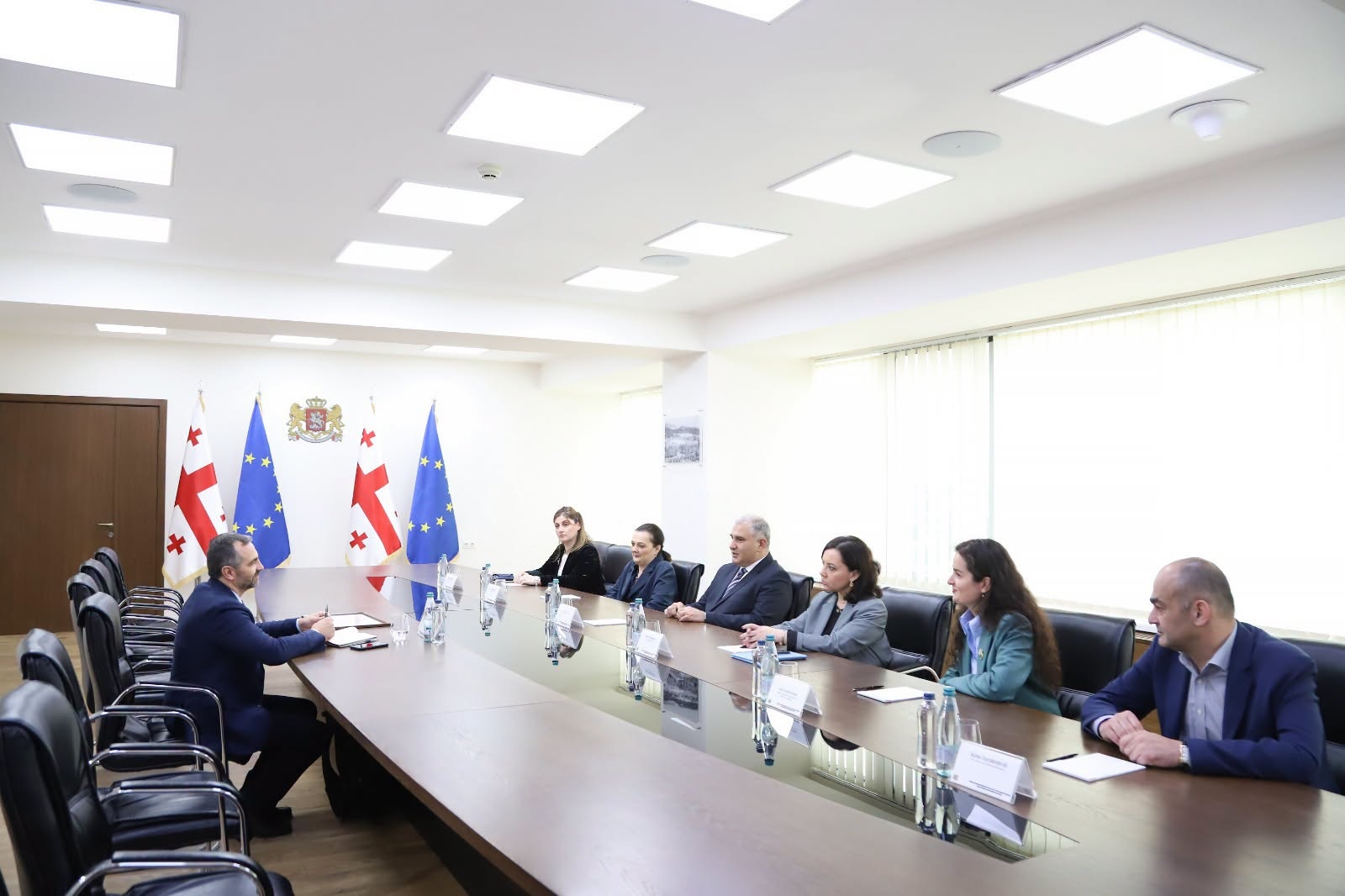 მიხეილ სარჯველაძე სილვიუ დომენტეს შეხვდა