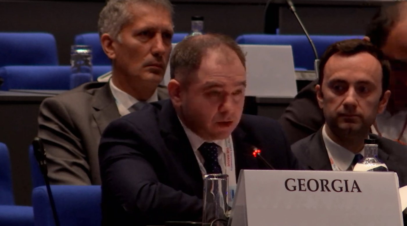 MP Samkharadze condemns Russia–South Ossetia agreement as ‘gross violation of international law’