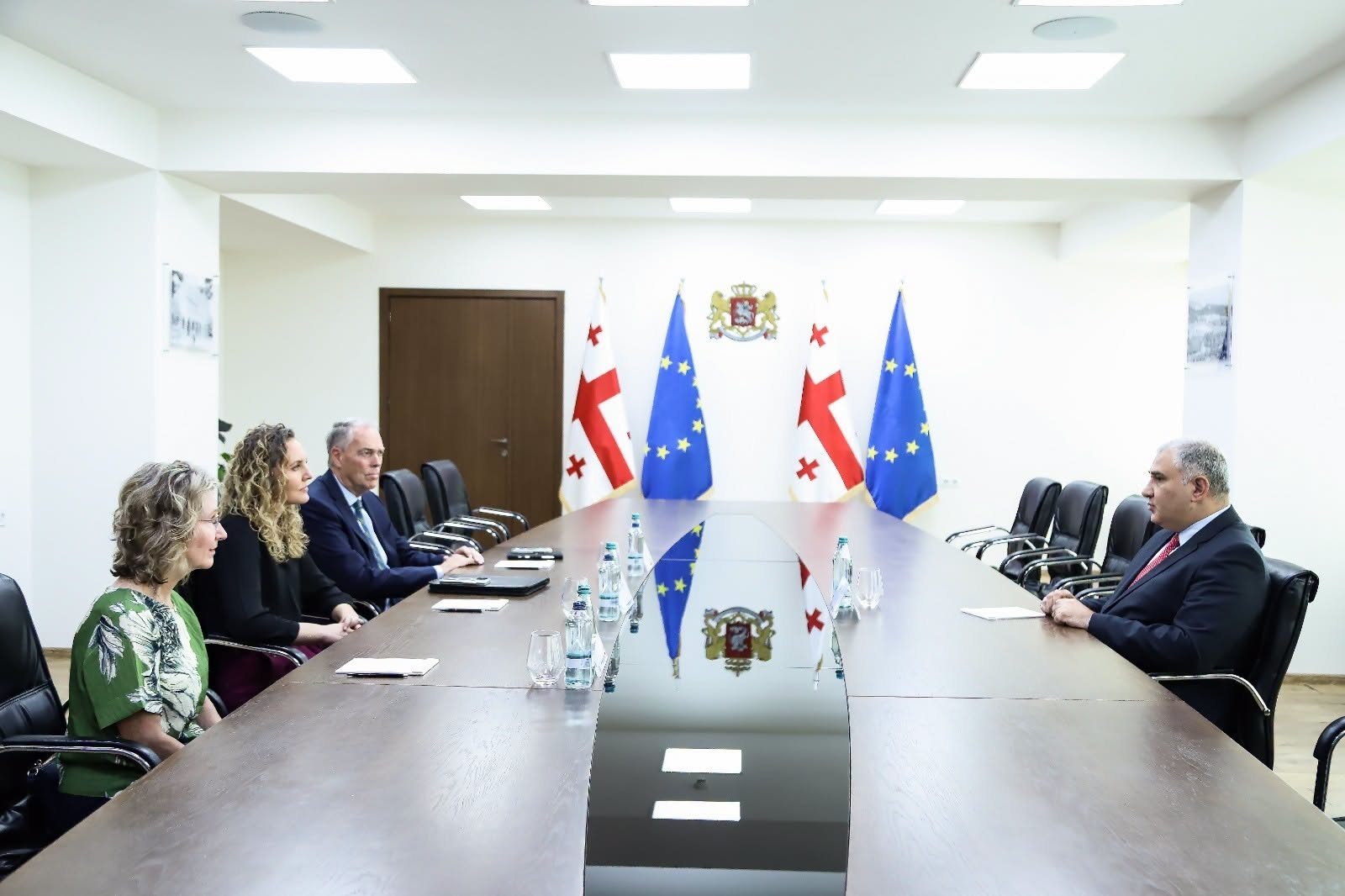 მიხეილ სარჯველაძე "სტრილინგის ფონდის“ ახლო აღმოსავლეთისა და ევროპის დირექტორს შეხვდა