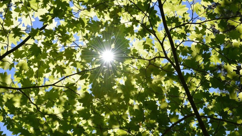 10-14 სექტემბერს მოსალოდნელი ამინდი საქართველოში