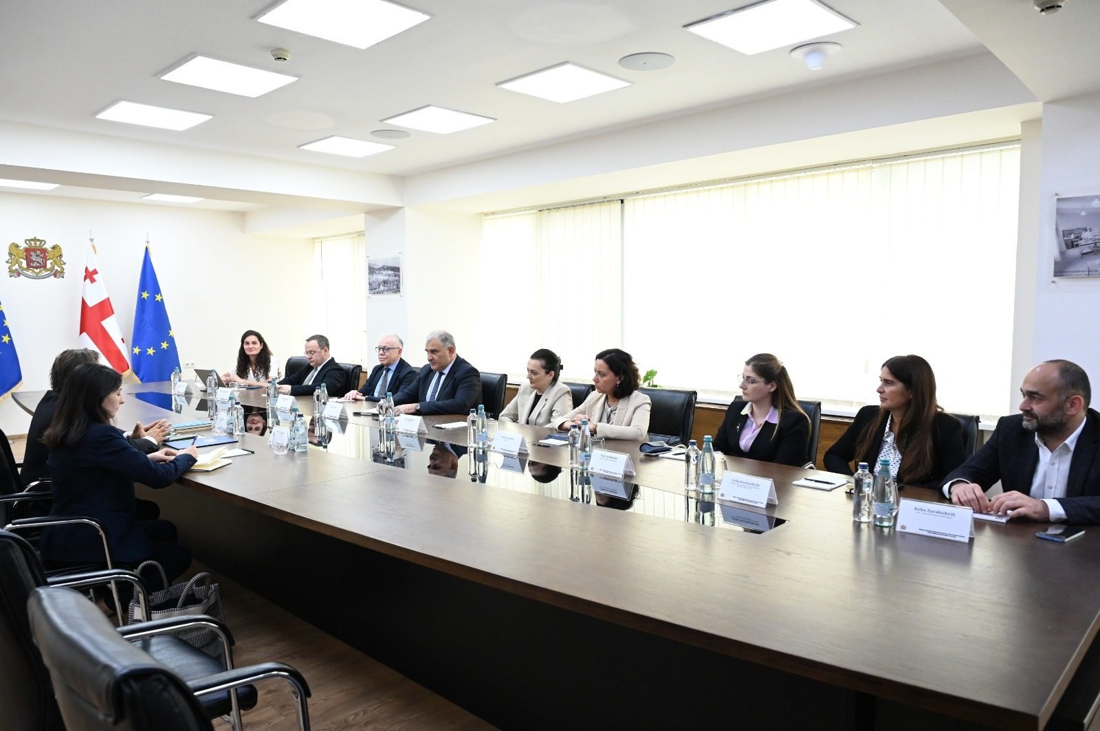 Georgia health minister meets new WHO country representative Breda