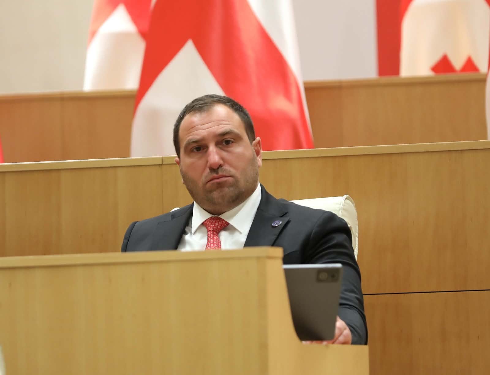Ruling party majority leader challenges ex-PM Garibashvili over personal wealth over latest prison letter