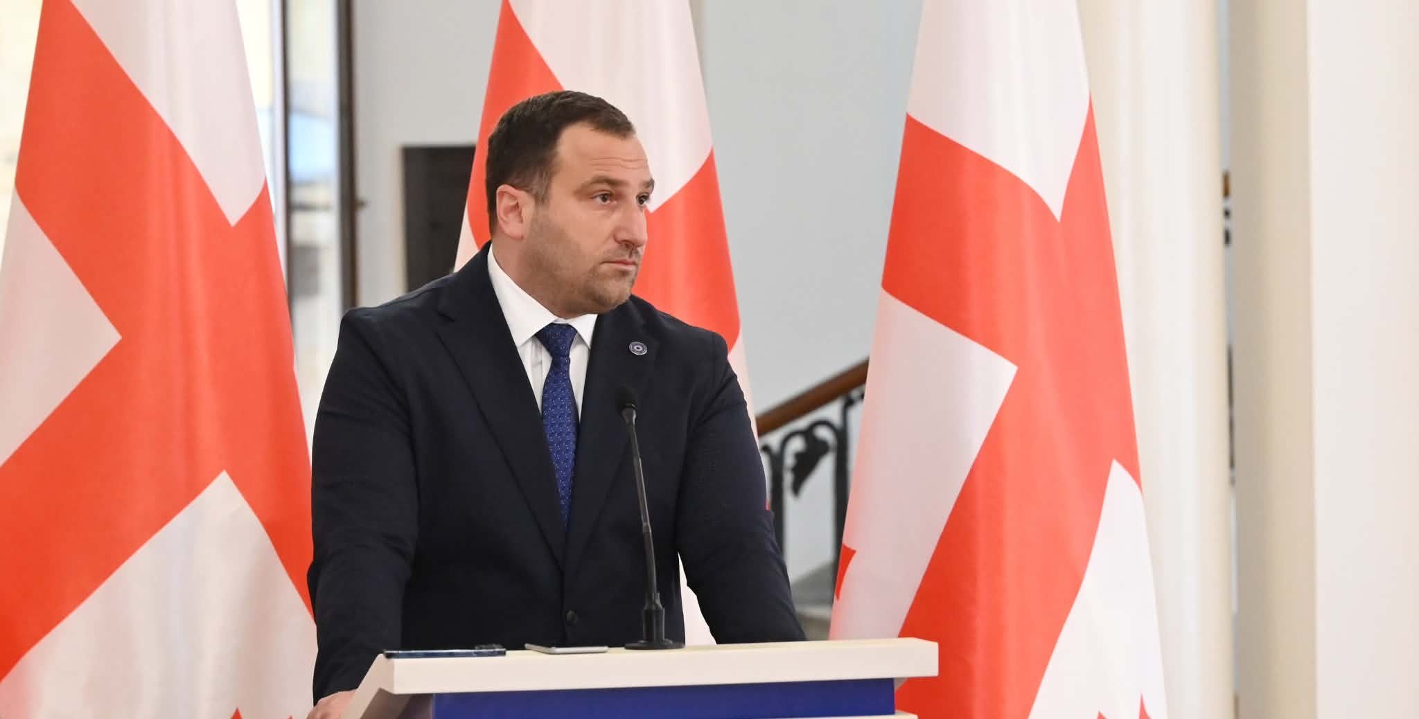 Georgian Parliamentary Majority Leader: UNM’s Rhetoric Is Anti-Russian, but Its Actions Were Pro-Russian
