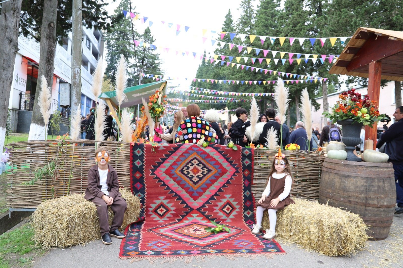 თერჯოლის მუნიციპალიტეტში "თერჯოლობა 2026"-ის ფარგლებში ღონისძიებები მიმდინარეობს - 9