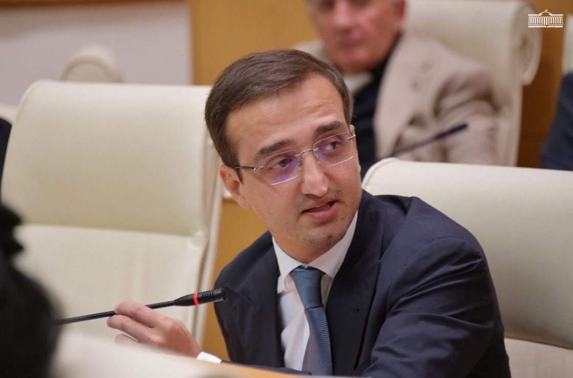 MP Pagava: Georgia won’t become buffer zone or a tool to contain Russia