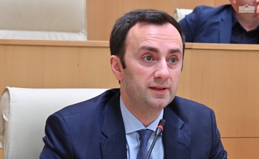 EU policy towards Georgia has failed, ruling party MP