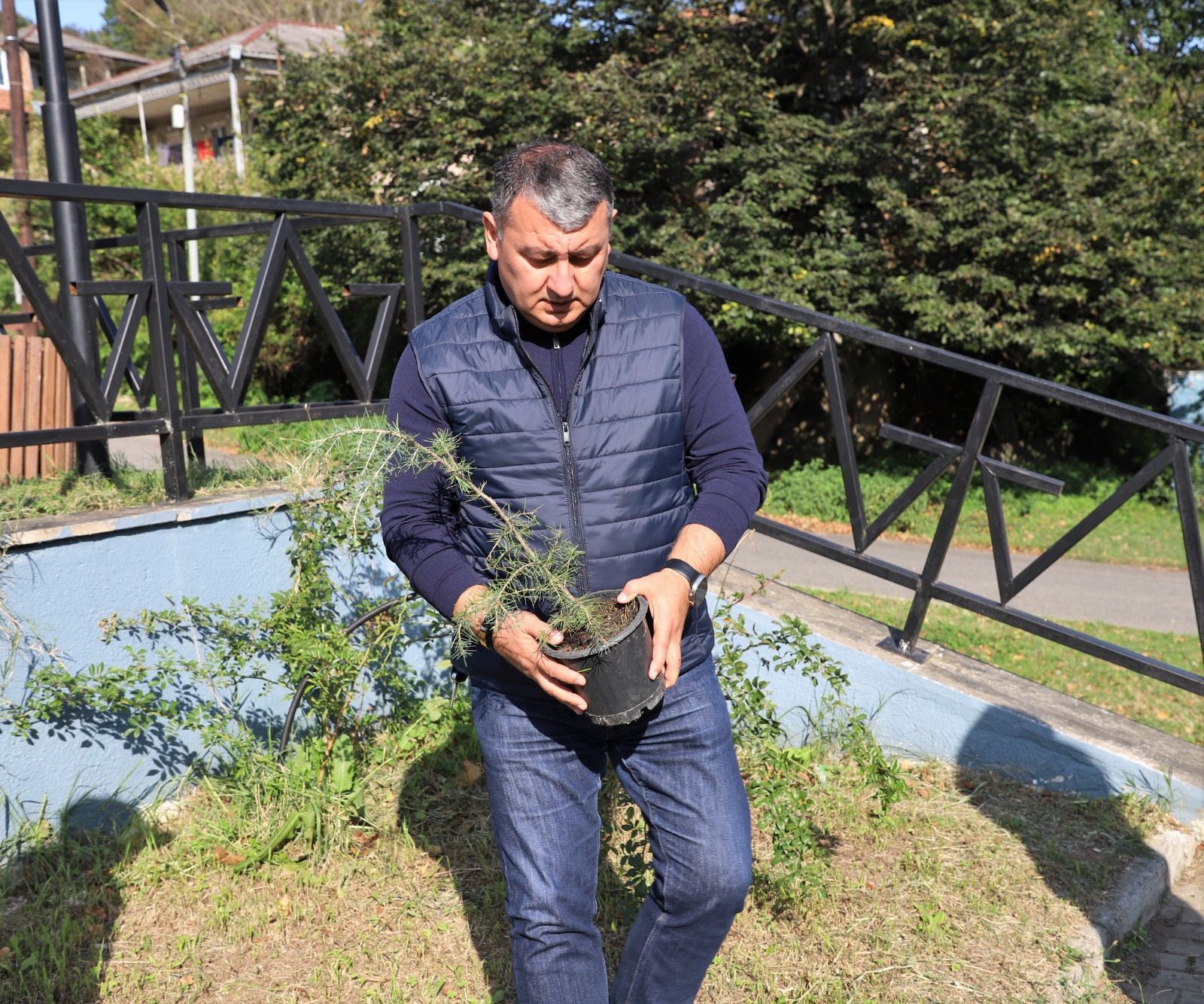 თერჯოლაში, სახელმწიფო პროგრამის "ჩემი პირველი ნერგის" ფარგლებში დაგეგმილი გამწვანების ღონისძიებები გაიმართა - 1