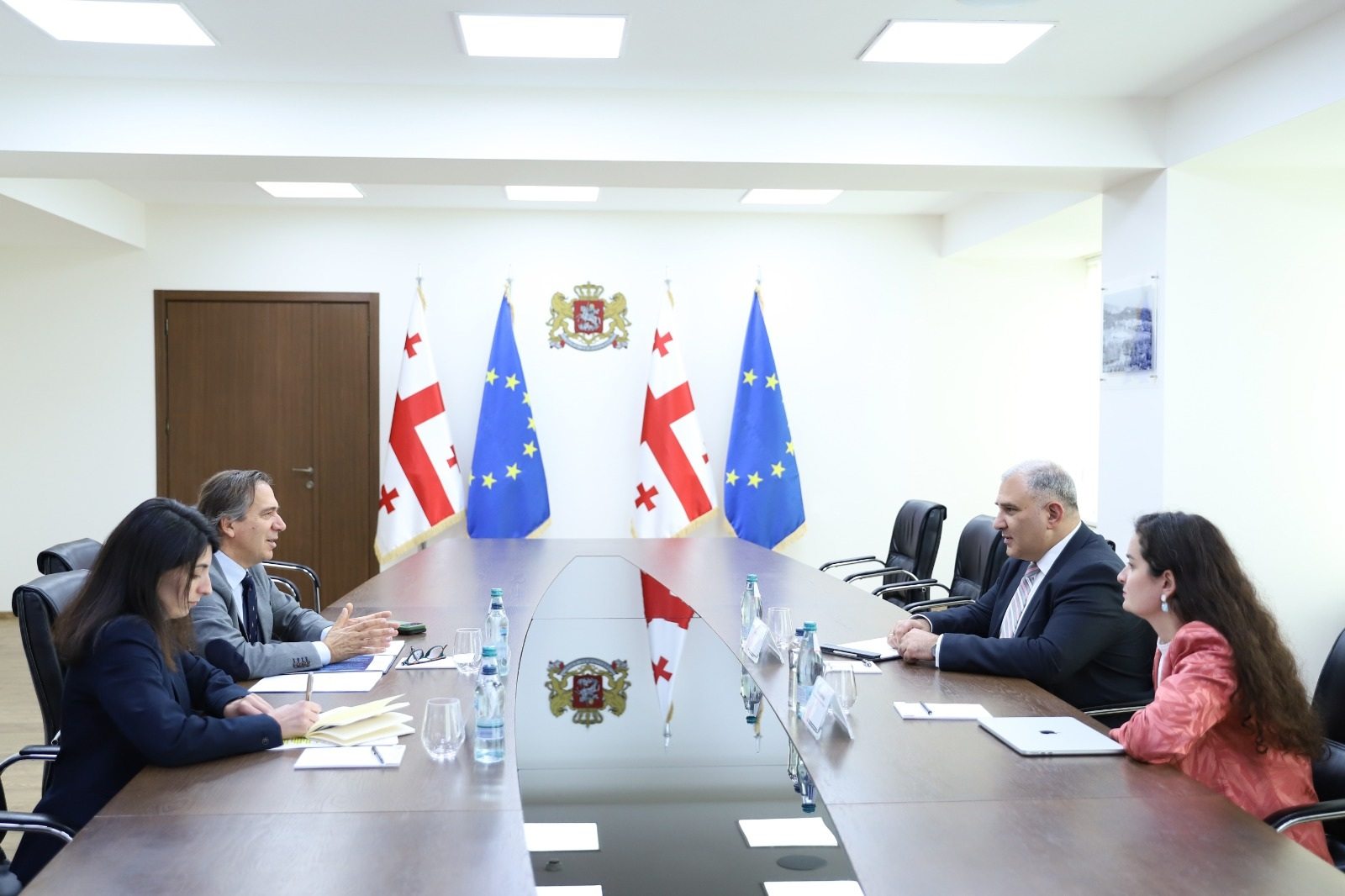 Georgian health minister meets WHO representative to discuss primary healthcare