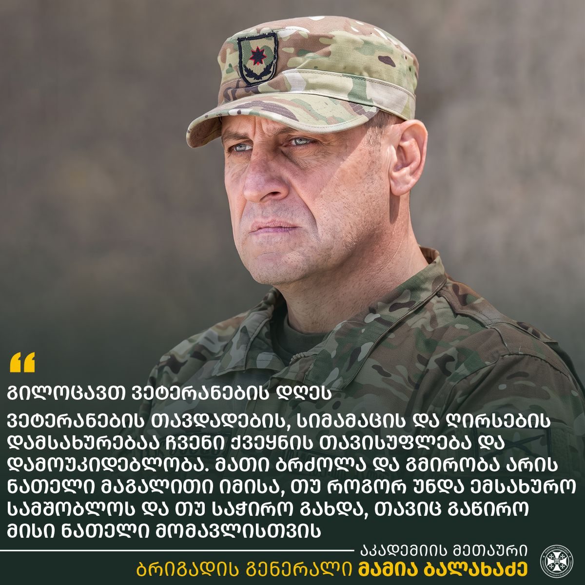 მამია ბალახაძე - სწორედ ჩვენი ვეტერანების თავდადების, სიმამაცის და ღირსების დამსახურებაა ჩვენი ქვეყნის თავისუფლება და დამოუკიდებლობა